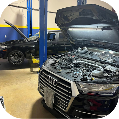 Our Services